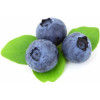 Fruchtfüllung Blaubeer-Gelee 1 kg