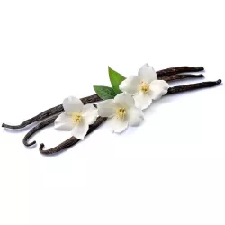 Gourmet erstklassige Vanille der Klasse A - Vanilleschote 1 Stück