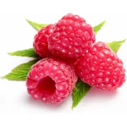 Fruchtfüllung Himbeer-Gelee 1 kg