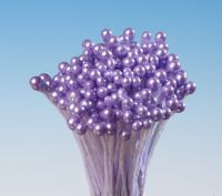 Gewürzstängel violetter Bund