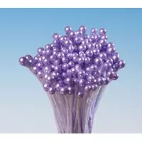 Gewürzstängel violetter Bund