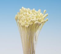 Gelbe Handschuhbündel