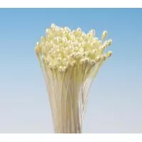 Gelbe Handschuhbündel