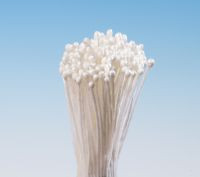 Weiße Petersilie Bund