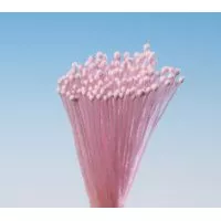 Rosenroter Straußbund