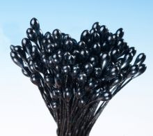 Pestíky perlmuttfarbene schwarze Bündel