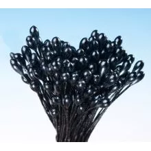 Pestíky perlmuttfarbene schwarze Bündel