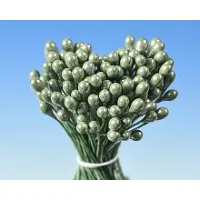 Perlmuttgrüne Fächerbundssträußel