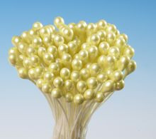 Perlauge_pastellgelbe Bündel