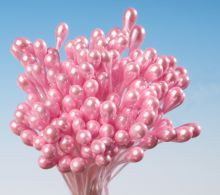 Perlauge_pastellrose Bund