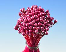 Perlaugerote Perlmutt rote Bündel