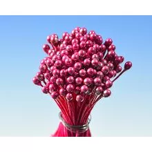 Perlaugerote Perlmutt rote Bündel