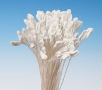 Lilienbündel weiße Pfingstrosen