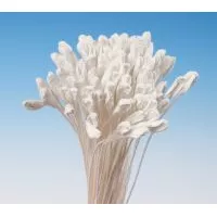 Lilienbündel weiße Pfingstrosen