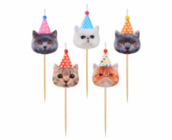 5 Kerzen für Kuchen Katzen