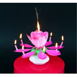Dortenfontäne Blume spielende rosa