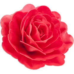 essbarer Zucker Riesige Rosenblüte 12,5 cm