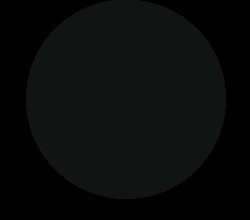 Staubfarbe 5 g natur schwarz