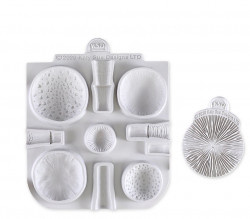 Silikonförmchen und Ader-/Nadelwerkzeug Pilzchen und Pilze