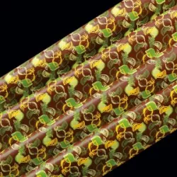 Transfer Folie 40x25 cm Mojito