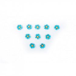 Blausüßende Zuckerkleckse 10 Stück