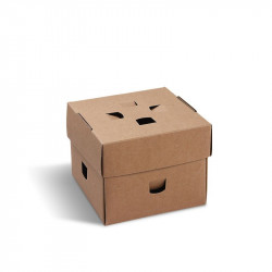 Bento-Kuchenbox 120 x 120 x 100 mm 100 Stück