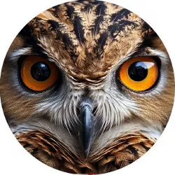 essbares Papier-Eule 19,5 cm