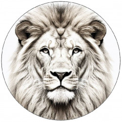 Essbares Papier, weiß-schwarz, 19,5 cm