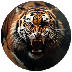 essbares Papier Tiger 19,5 cm