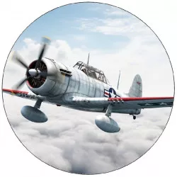 essbares Papier kleines Flugzeug 19,5 cm
