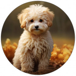 Essbares Papier Welpe weiß 19,5 cm