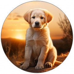 Essbares Papier Hundewelpe Labrador 19,5 cm