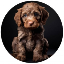 Essbares Papier Welpe braun 19,5 cm
