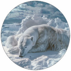 essbares Papier Eisbär liegt 19,5 cm