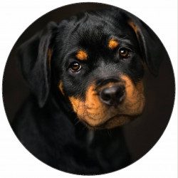 Essbares Papier schlafender Welpe 19,5 cm