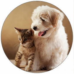 Essbares Papier Katze und Hund Freundschaft 19,5 cm