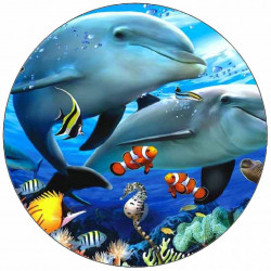 Essbares Papier Delfine 19,5 cm