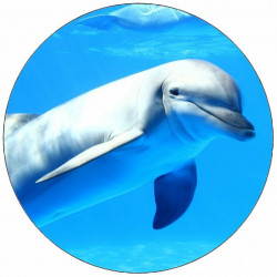 Essbares Delfin-Papier unter Wasser 19,5 cm