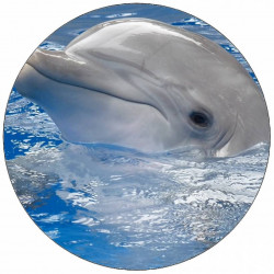 essbares Papier Delfin mit Kopf über der Wasseroberfläche 19,5 cm