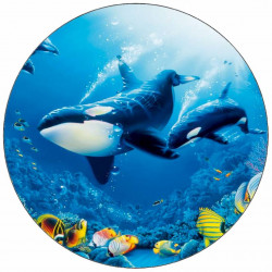 Essbares Papier Walhai 19,5 cm