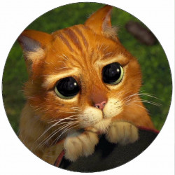 Essbares Papier Shrek-Kater 19,5 cm