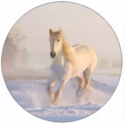 essbares Papier weißes Pferd im Schnee 19,5 cm