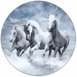 essbares Papier weiße Pferde in Wellen 19,5 cm