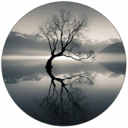 Essbares Papier One Direction komplette Band 19,5 cm