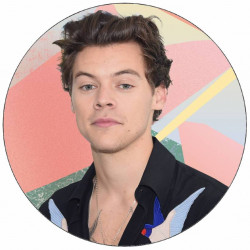 essbares Papier Harry Styles 19,5 cm