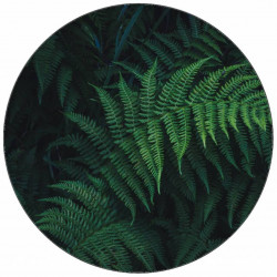 Essbares Papier Waldfarn 19,5 cm