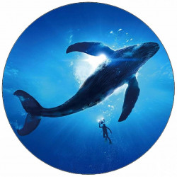 essbare Papier-Wal 19,5 cm