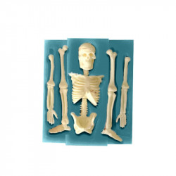 Silikon-Formenbauste 11x9,5 cm – Skelett