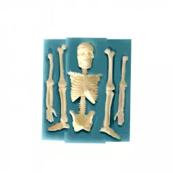 Silikon-Formenbauste 11x9,5 cm – Skelett
