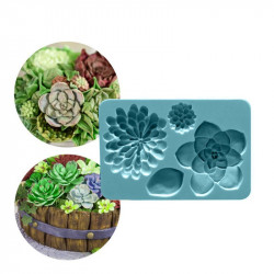 Silikon-Formen für Sukkulenten 12x8 cm